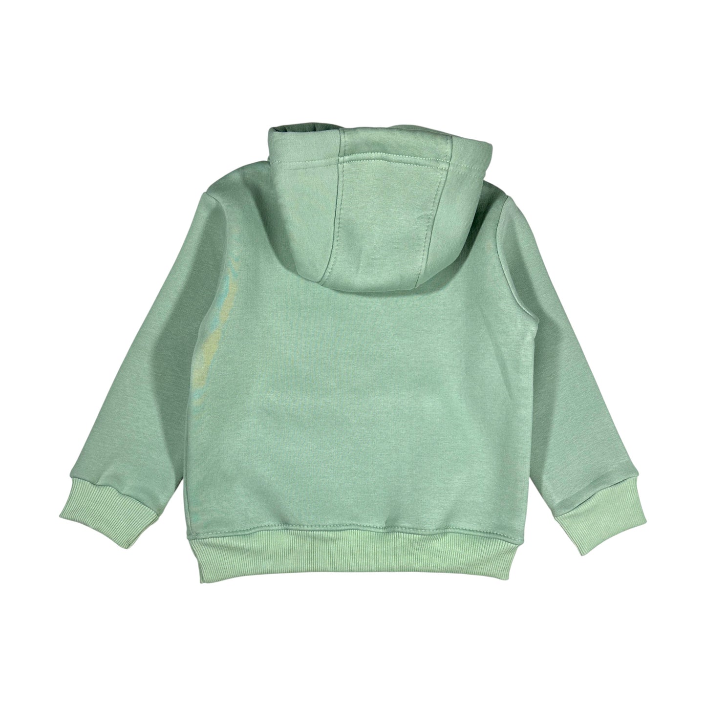 Mint green Hooded Melton Sweatshirt