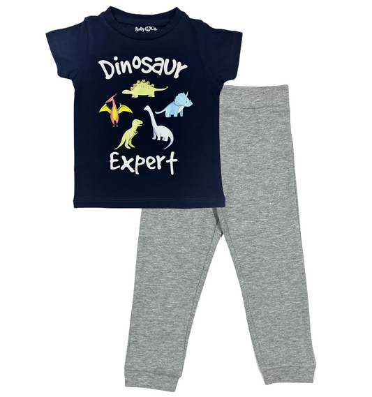 Dinosaurs Cotton Set (Blue T-shirt + Light Grey Sweatpants)