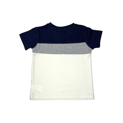 Multicolor Boys T-shirt (Navy/Grey/White)