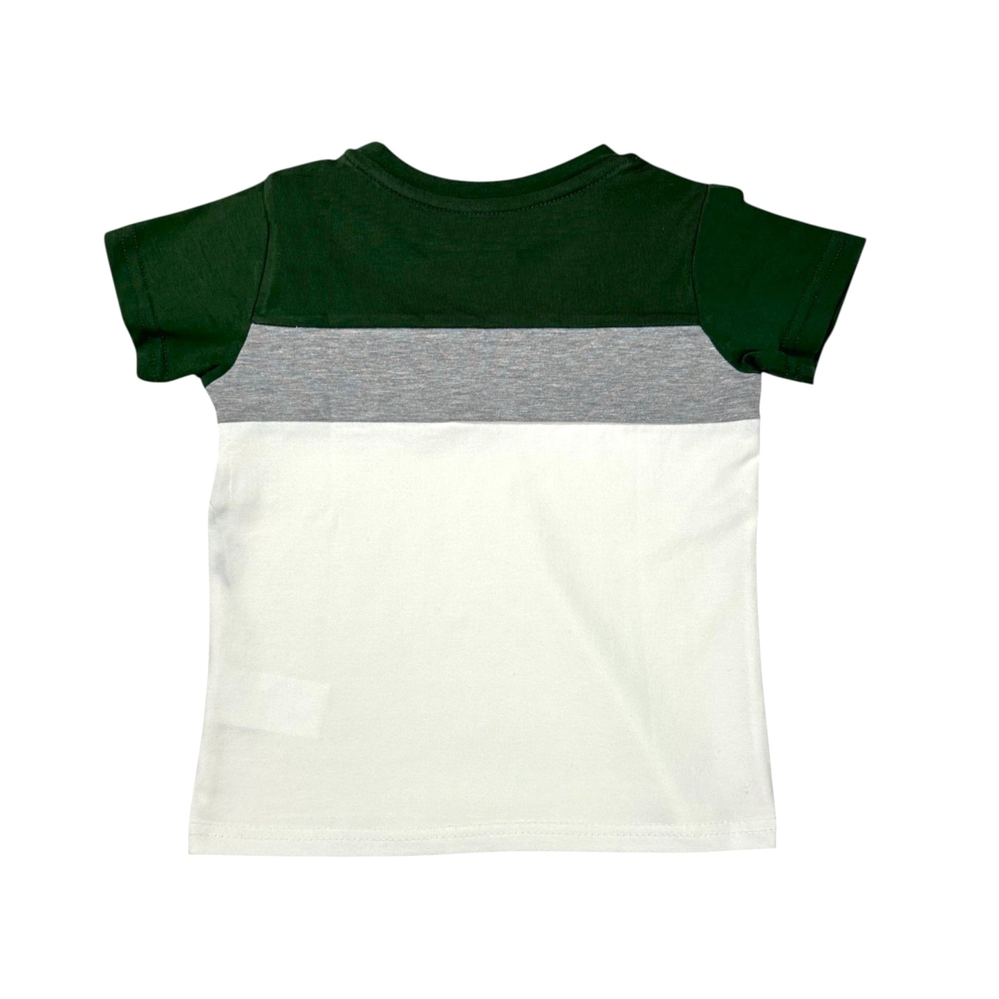 Multicolor Boys T-shirt (Olive Green/Grey/White)