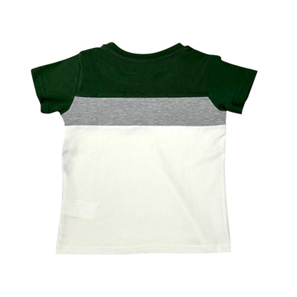 Multicolor Boys T-shirt (Olive Green/Grey/White)