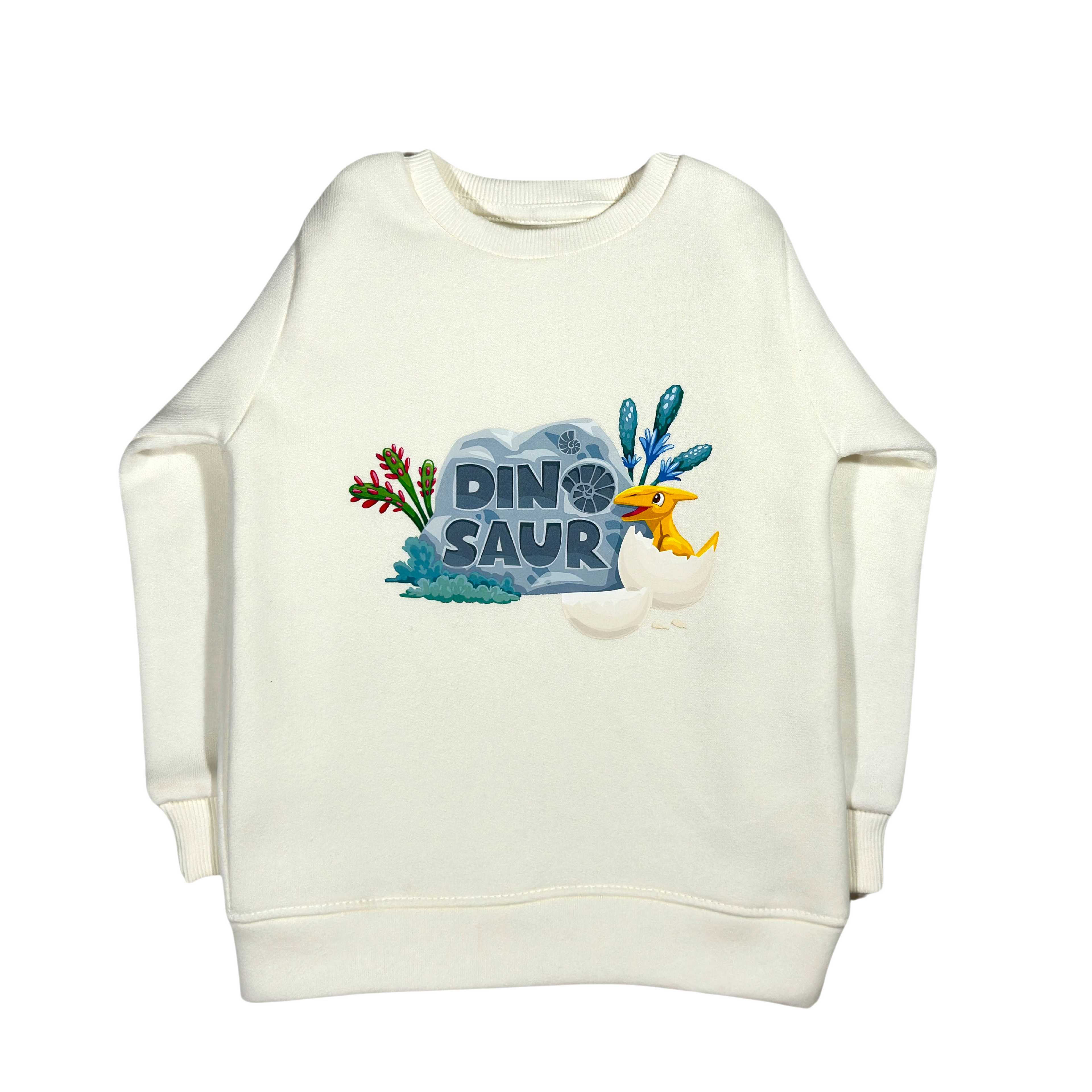 Off White Dinosaur Melton Sweatshirt