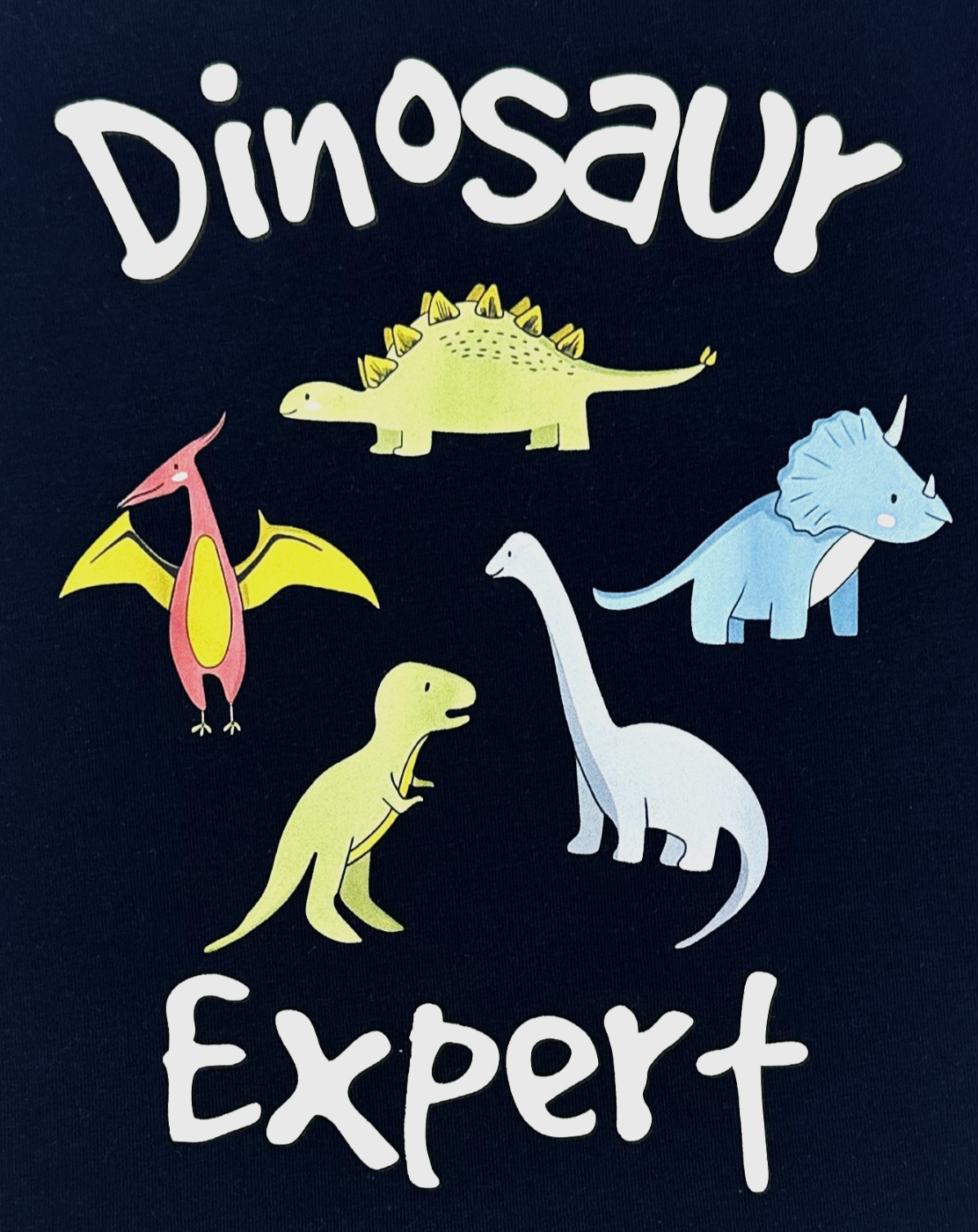 Dinosaurs Graphic Blue Cotton T-shirt